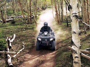 Artic Cat ATV rental Artic Cat ATV Rental